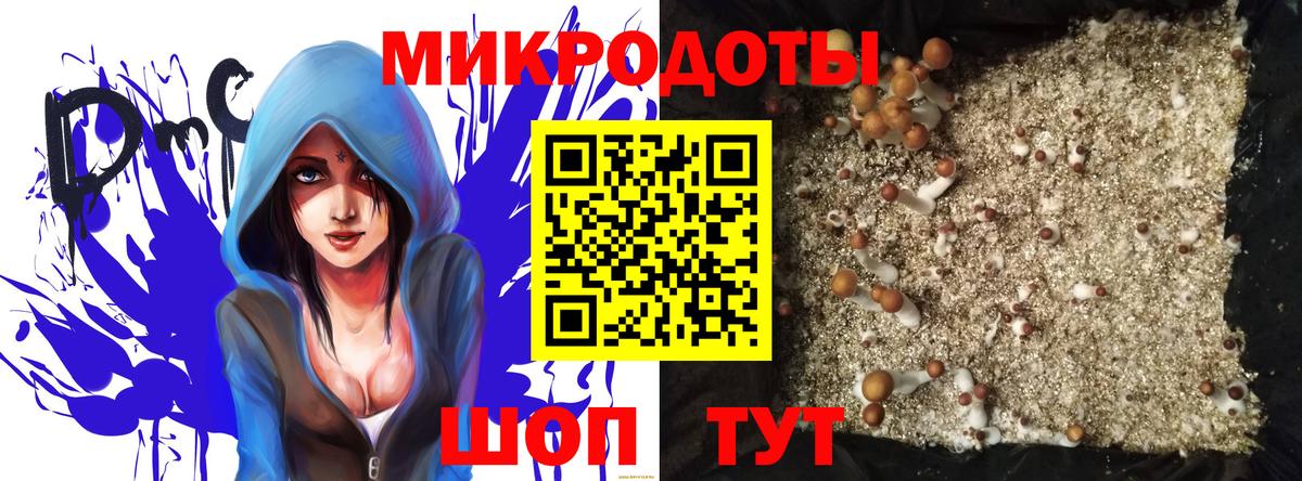 Каспийск  Галлюциногенные грибы ЛСД  Вход с VPN 